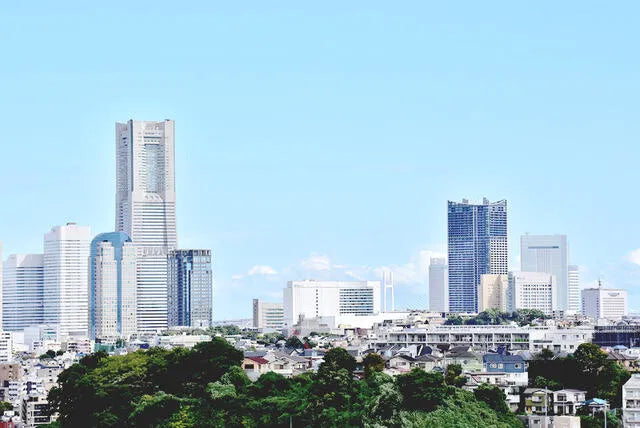 9-bedroom Tsukymidai, Hodogaya ward, Yokohama City, Kanagawa
