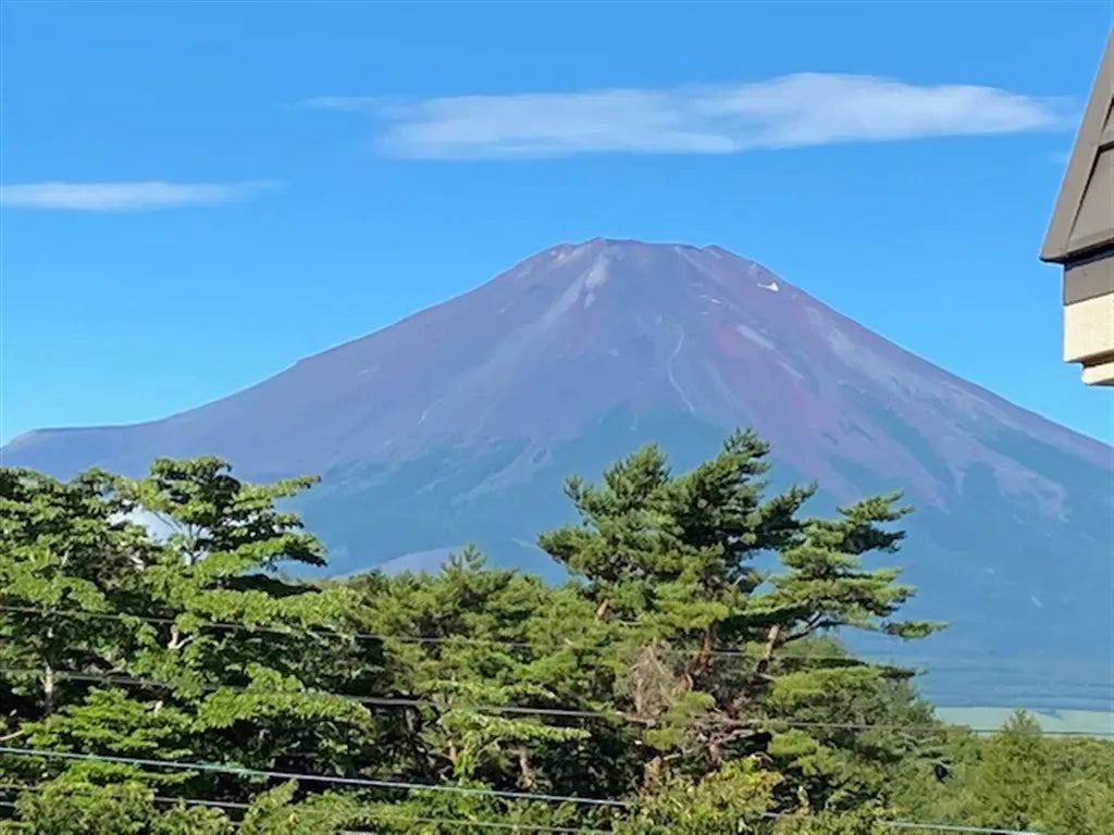 1Bed Apartment in Yamanakako-mura,Minamitsuru-gun, Yamanashi Hirano Yanagihara, Yamanakako-mura, Minamitsuru-gun, Yamanashi