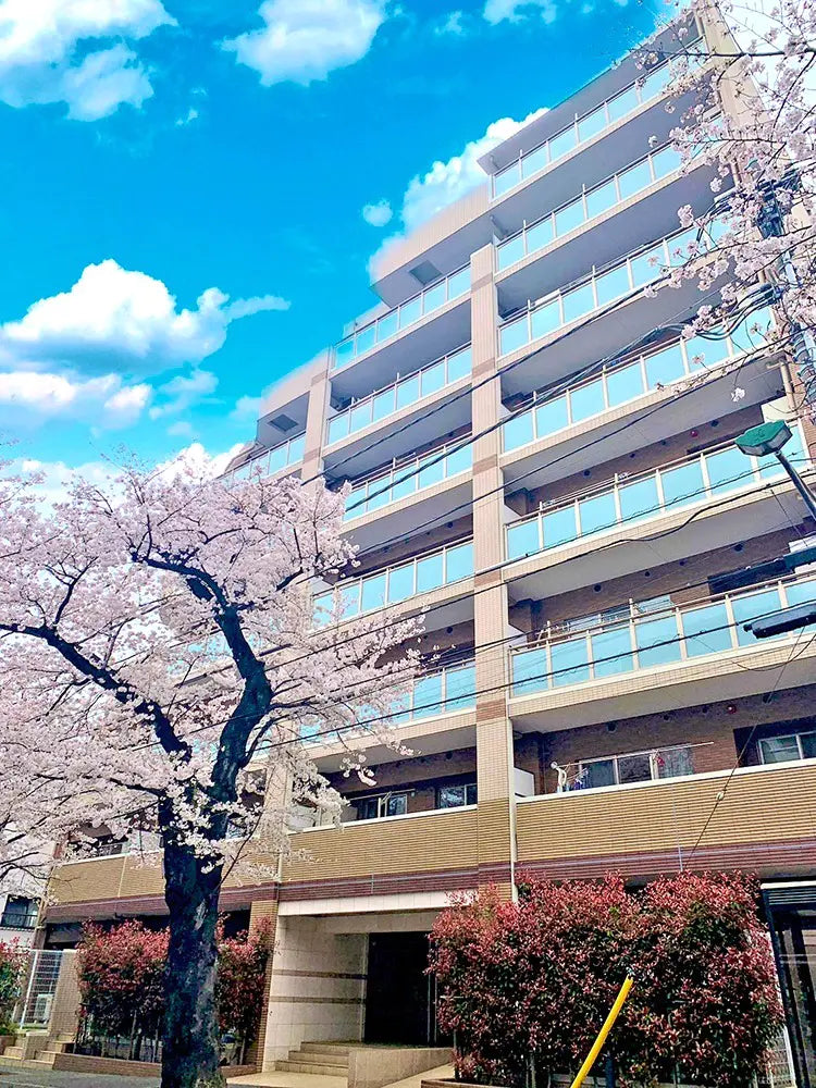 3Beds Apartment in Matsudo-shi, Chiba