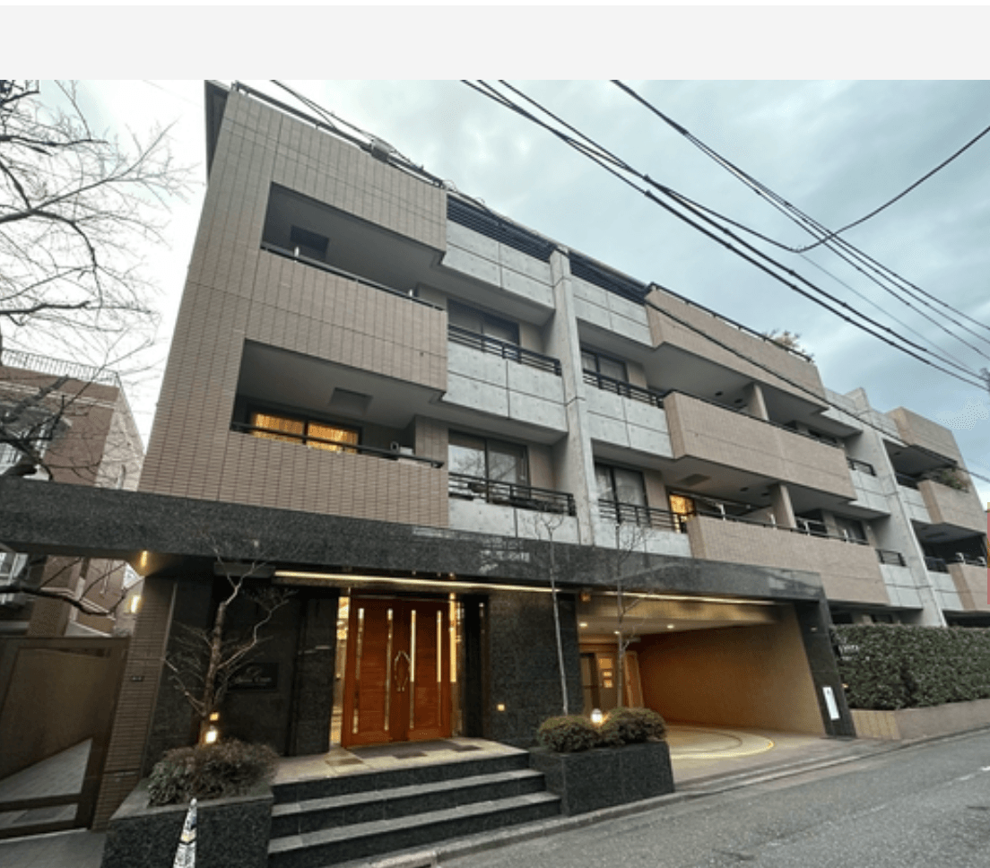 Diana Court Shoto - PDJ Indonesia