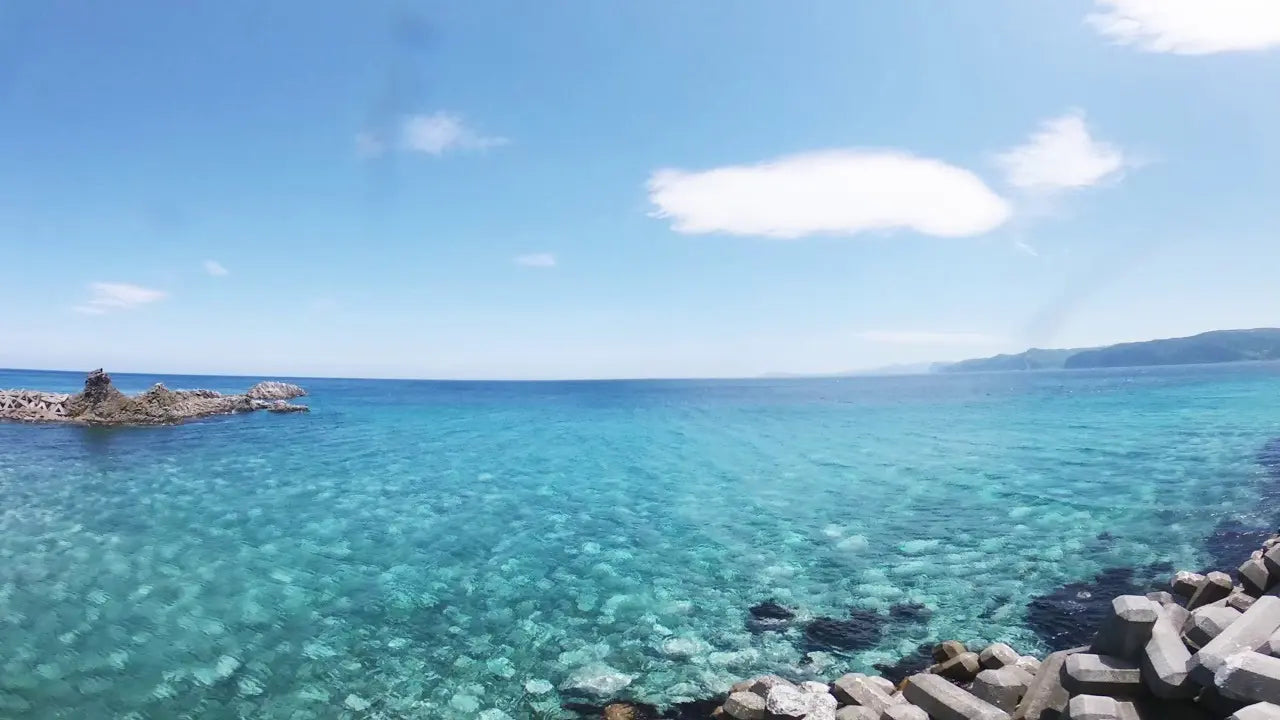 Rental apartment "Building A,B & C of Maison Island" located in Furubira-cho, Hokkaido - PDJ Indonesia