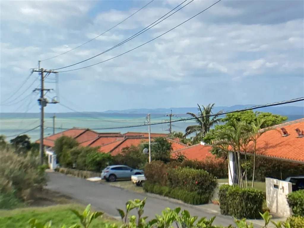 1Bed House in Ishigaki-shi, Okinawa - PDJ Indonesia