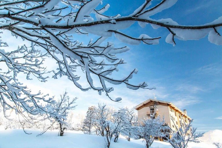 Boutique Hotel With Hot Spring Near Akakura Ski Resort - PDJ Indonesia