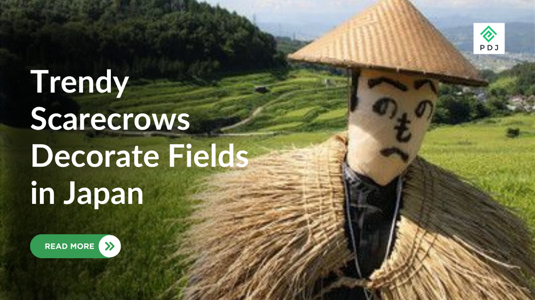 Trendy Scarecrows Decorate Fields in Japan — Inspired by Famous Figures Like Trump