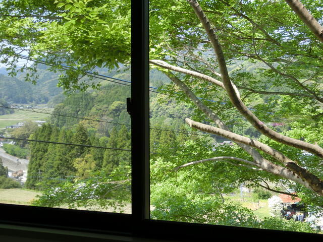 Tohara, Yabakei-cho, Nakatsu City, Oita Prefecture