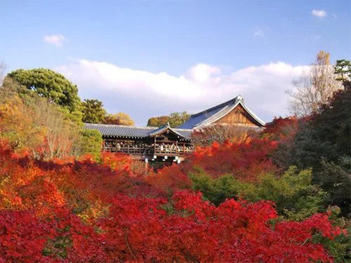 Rumah 3LDK di Honmachi 15-chome, Higashiyama-ku, Kyoto