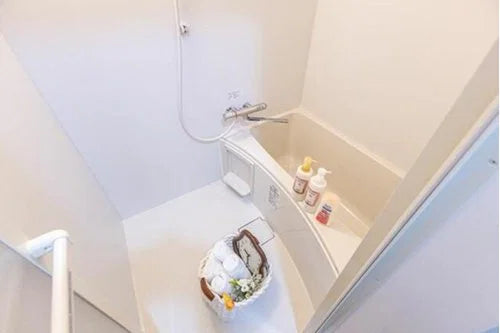 Traditional Tokyo Townhouse with Minpaku Potential near Tokyo Skytree