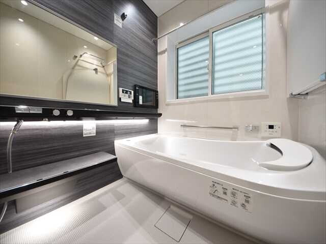 Luxury Building, SETAGAYA-KU, TOKYO