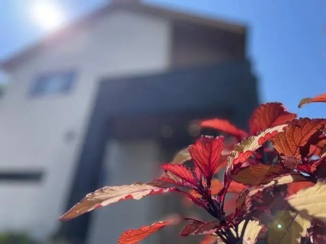 Beautifully Maintained 4LDK Home, Tokyo Umego 6, Ome-shi, Tokyo