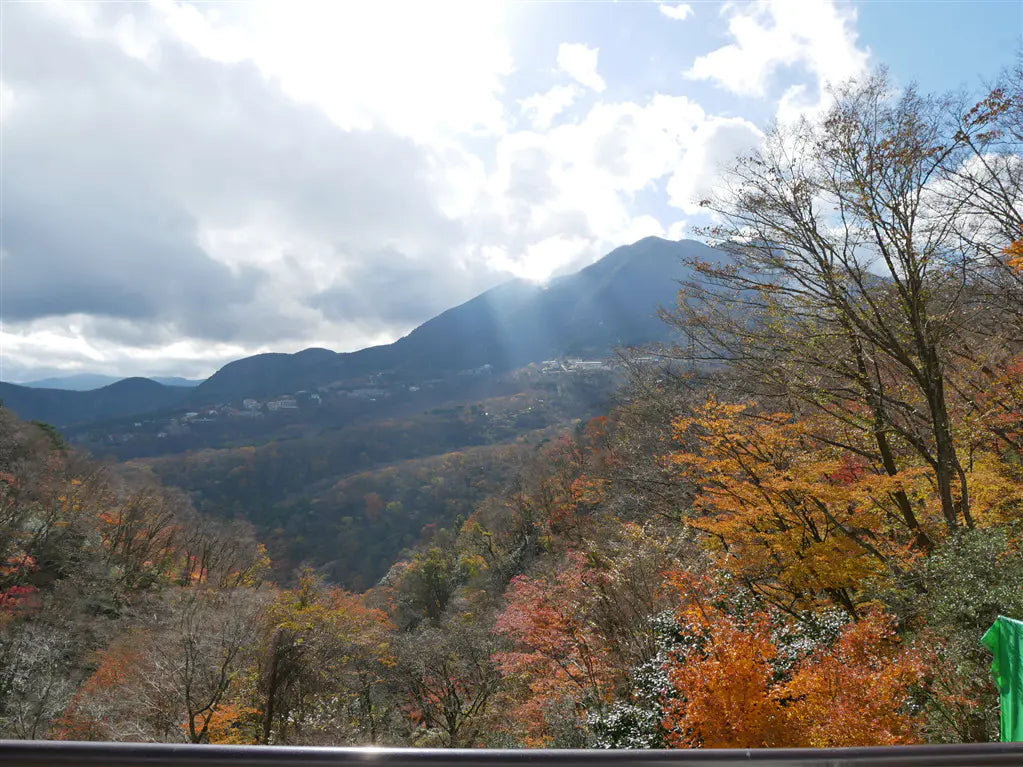6Beds House in Hakone-machi,Ashigarashimo-gun, Kanagawa Sengokuhara Oihira, Hakone-machi, Ashigarashimo-gun, Kanagawa