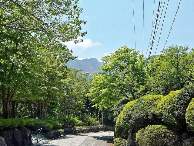 6Beds House in Hakone-machi,Ashigarashimo-gun, Kanagawa Sengokuhara Oihira, Hakone-machi, Ashigarashimo-gun, Kanagawa