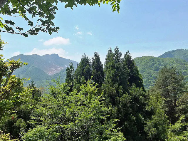 6Beds House in Hakone-machi,Ashigarashimo-gun, Kanagawa Sengokuhara Oihira, Hakone-machi, Ashigarashimo-gun, Kanagawa