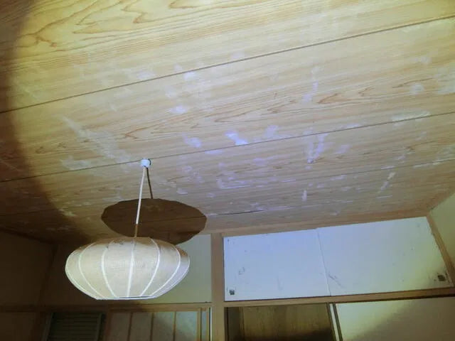 Hiyakawa, Izu City, Shizuoka Prefecture