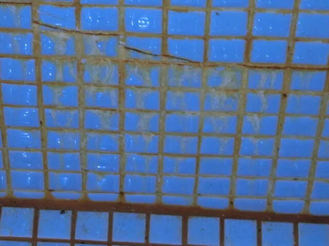 Hiyakawa, Izu City, Shizuoka Prefecture