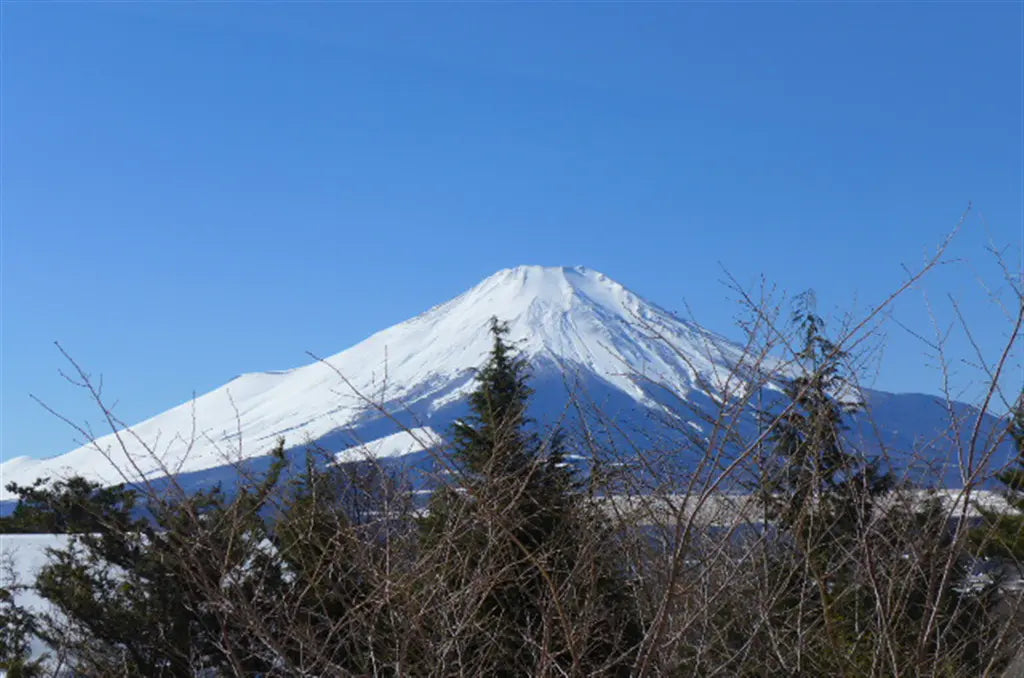 1Bed Apartment in Yamanakako-mura,Minamitsuru-gun, Yamanashi Hirano Yoshimasa, Yamanakako-mura, Minamitsuru-gun, Yamanashi