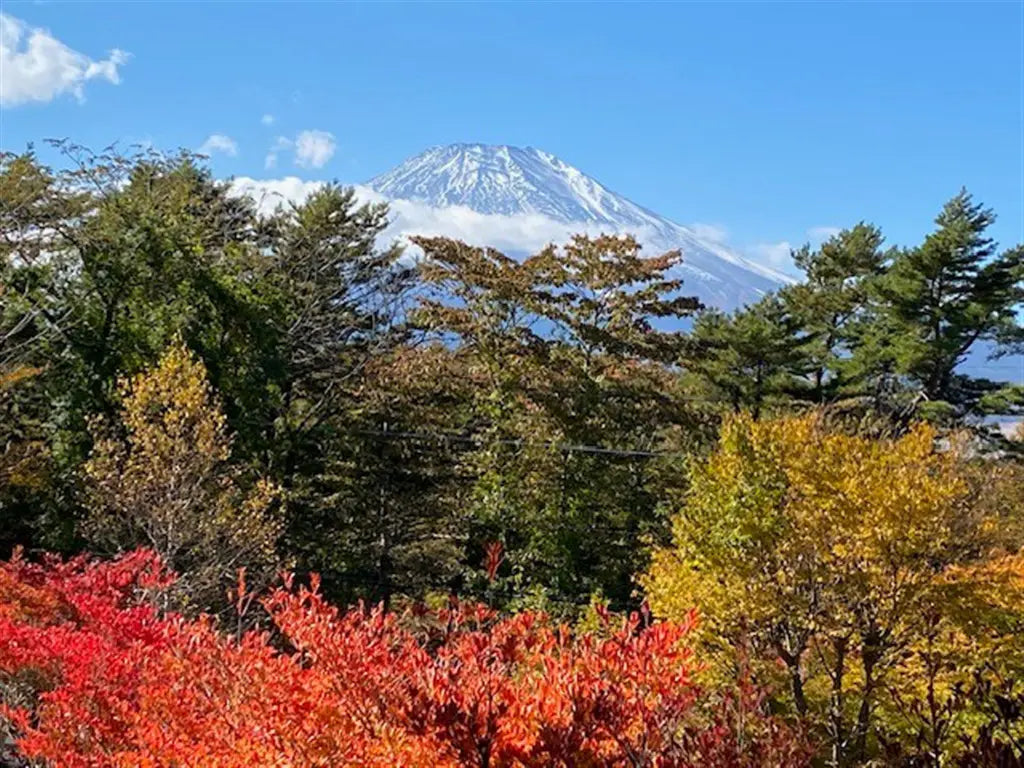 1Bed Apartment in Yamanakako-mura,Minamitsuru-gun, Yamanashi Hirano Yanagihara, Yamanakako-mura, Minamitsuru-gun, Yamanashi