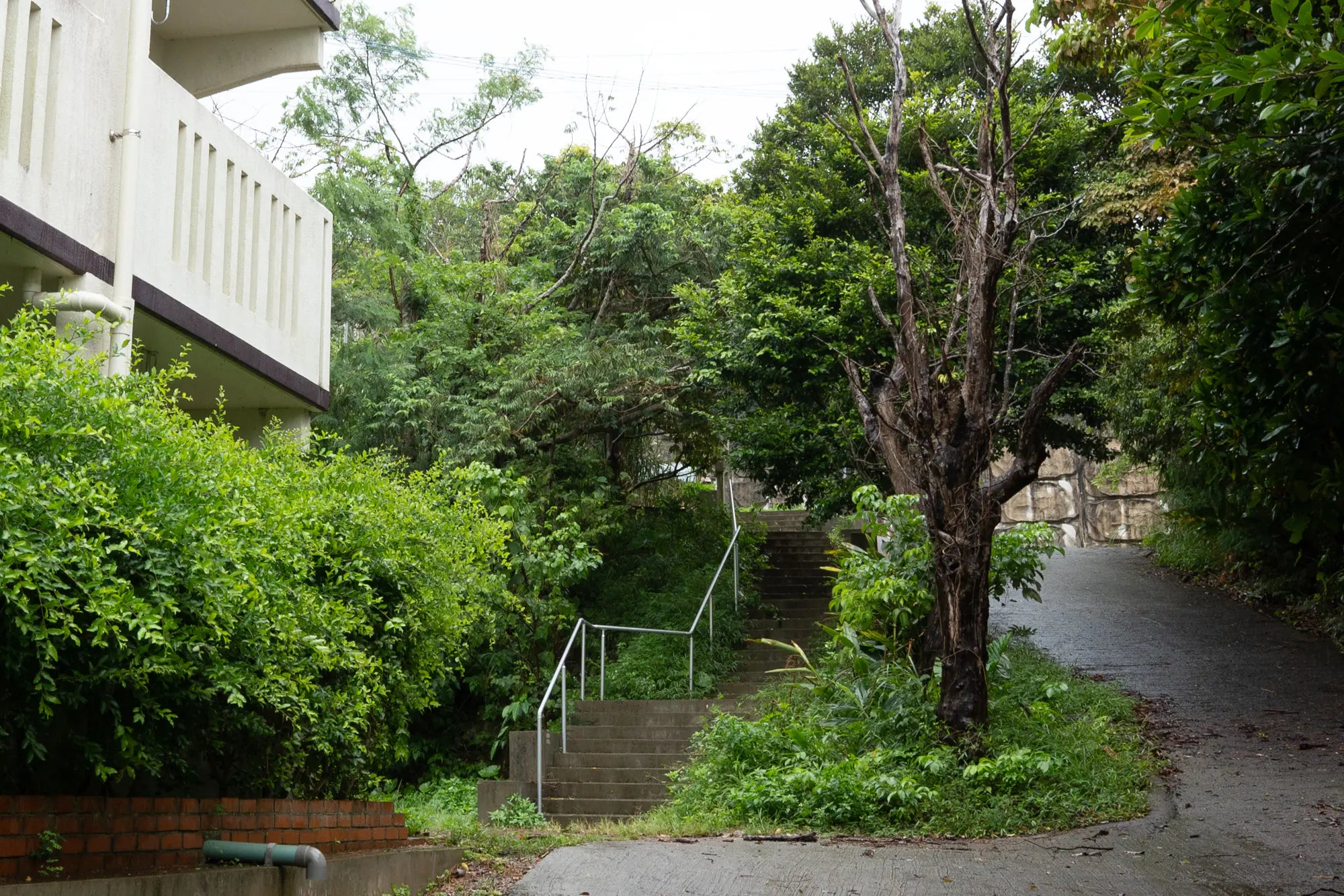 2Beds Apartment in , Okinawa Okinawa Prefecture, Kunigami District, Motobu Town, Nohara, Okinawa