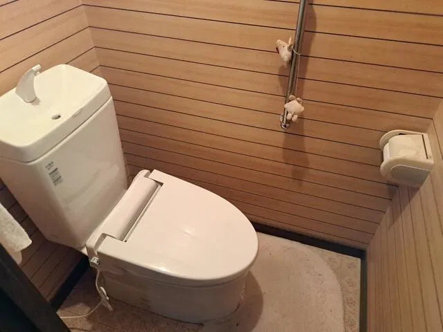 Otome, Oyama City, Tochigi Prefecture