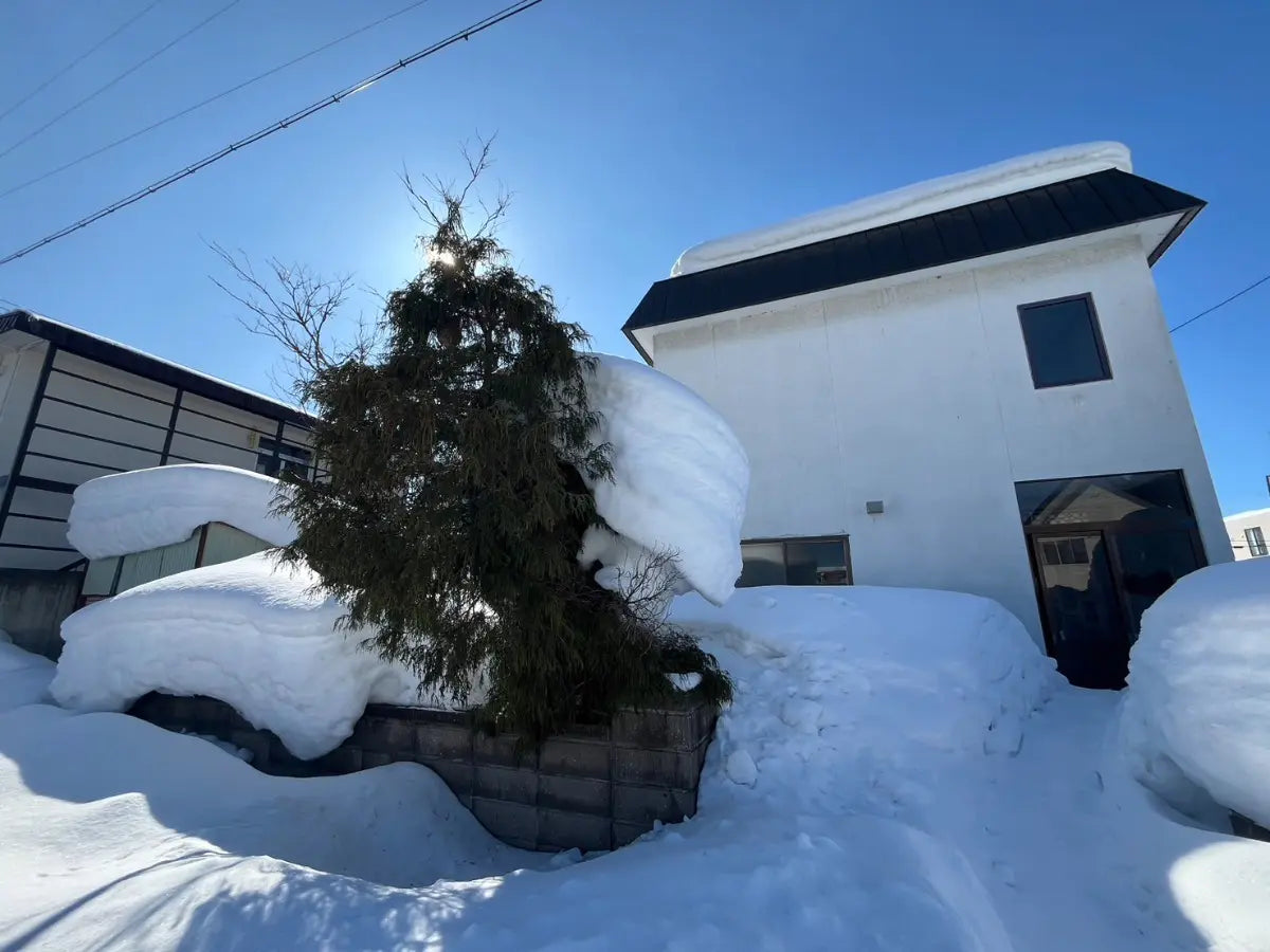 岩見沢市美園四条４丁目 Misono Shijo 4, Iwamizawa-shi, Hokkaido