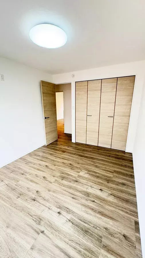 2LDK Fully Renovated Condo, Chiba