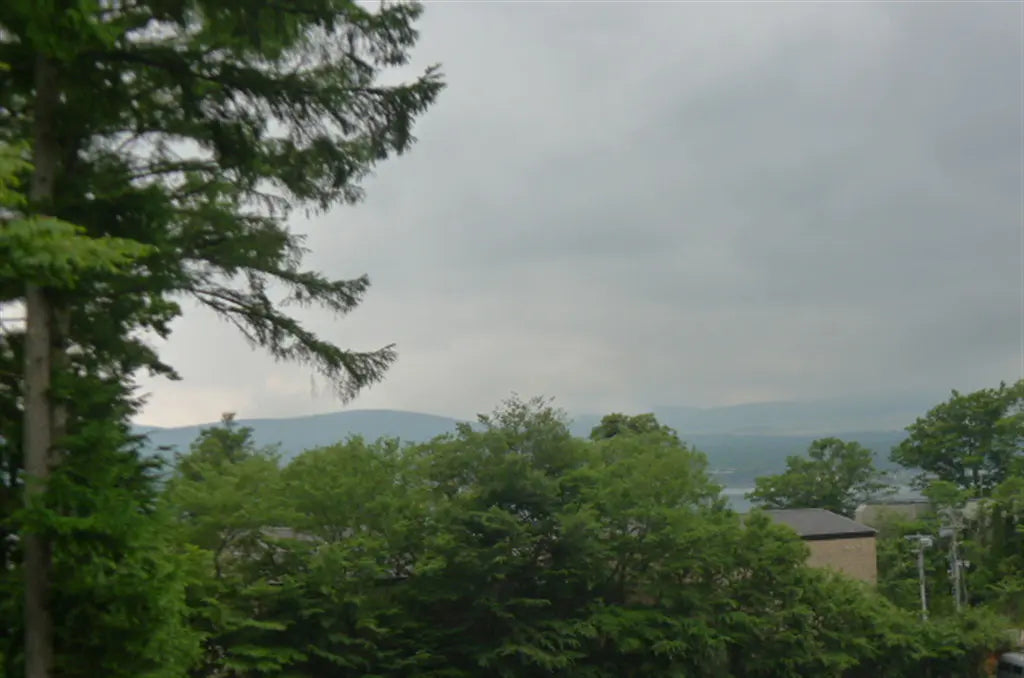 2Beds Apartment in Yamanakako-mura,Minamitsuru-gun, Yamanashi