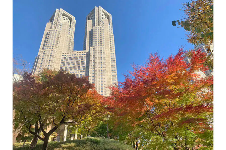 Diore Nishi-Shinjuku