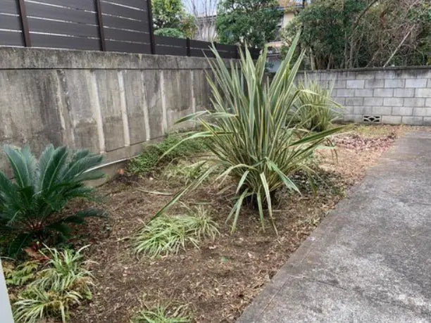 Dream Beach House – Just 4 Minutes Walk to the Ocean!