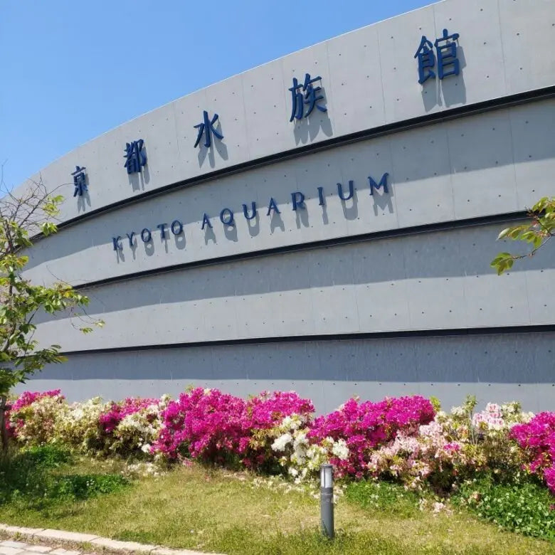 3Beds House in Shimogyo-ku,Kyoto-shi, Kyoto