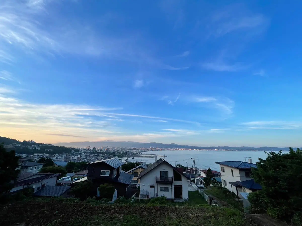 Holiday home investment property