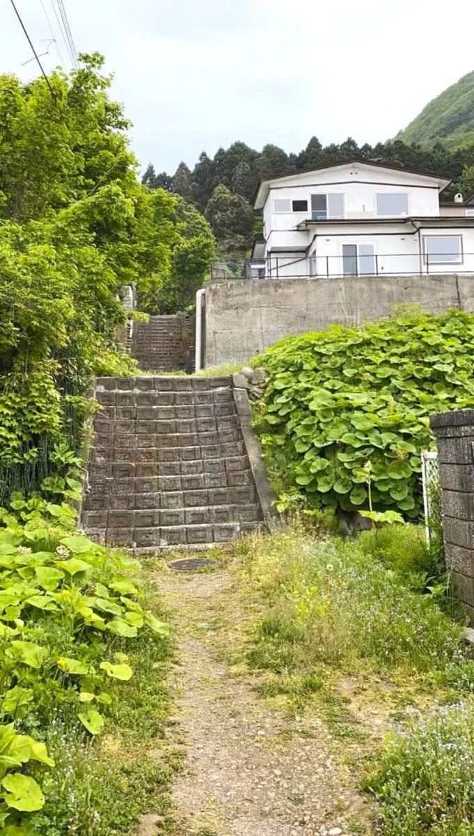 Holiday home investment property