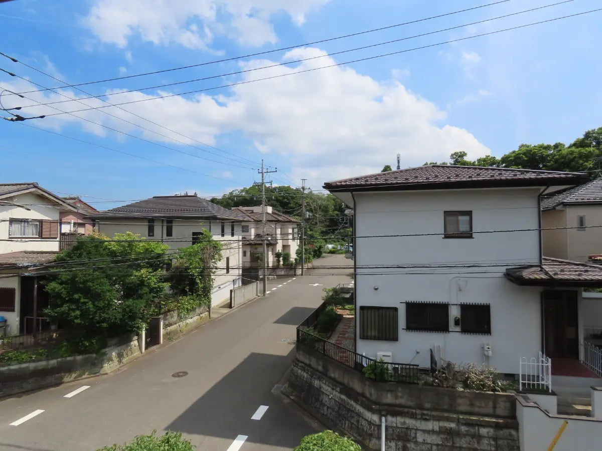 Charming Traditional Japanese Home on a Sunny Southeast Corner Lot