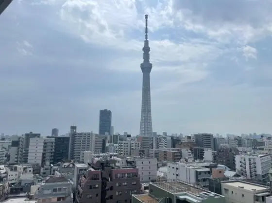 Top-floor 2LDK Condo with Skytree View