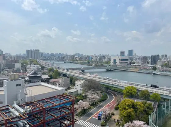 Top-floor 2LDK Condo with Skytree View