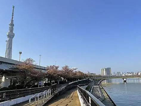 Top-floor 2LDK Condo with Skytree View