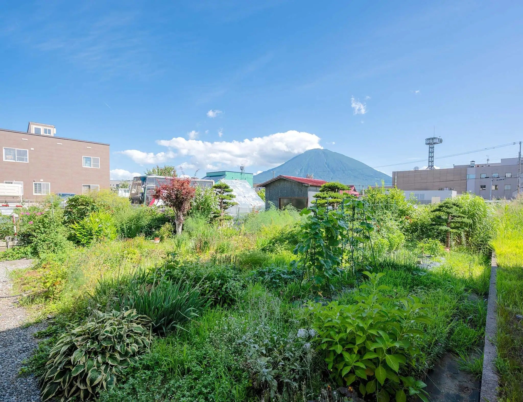 Kutchan Central House