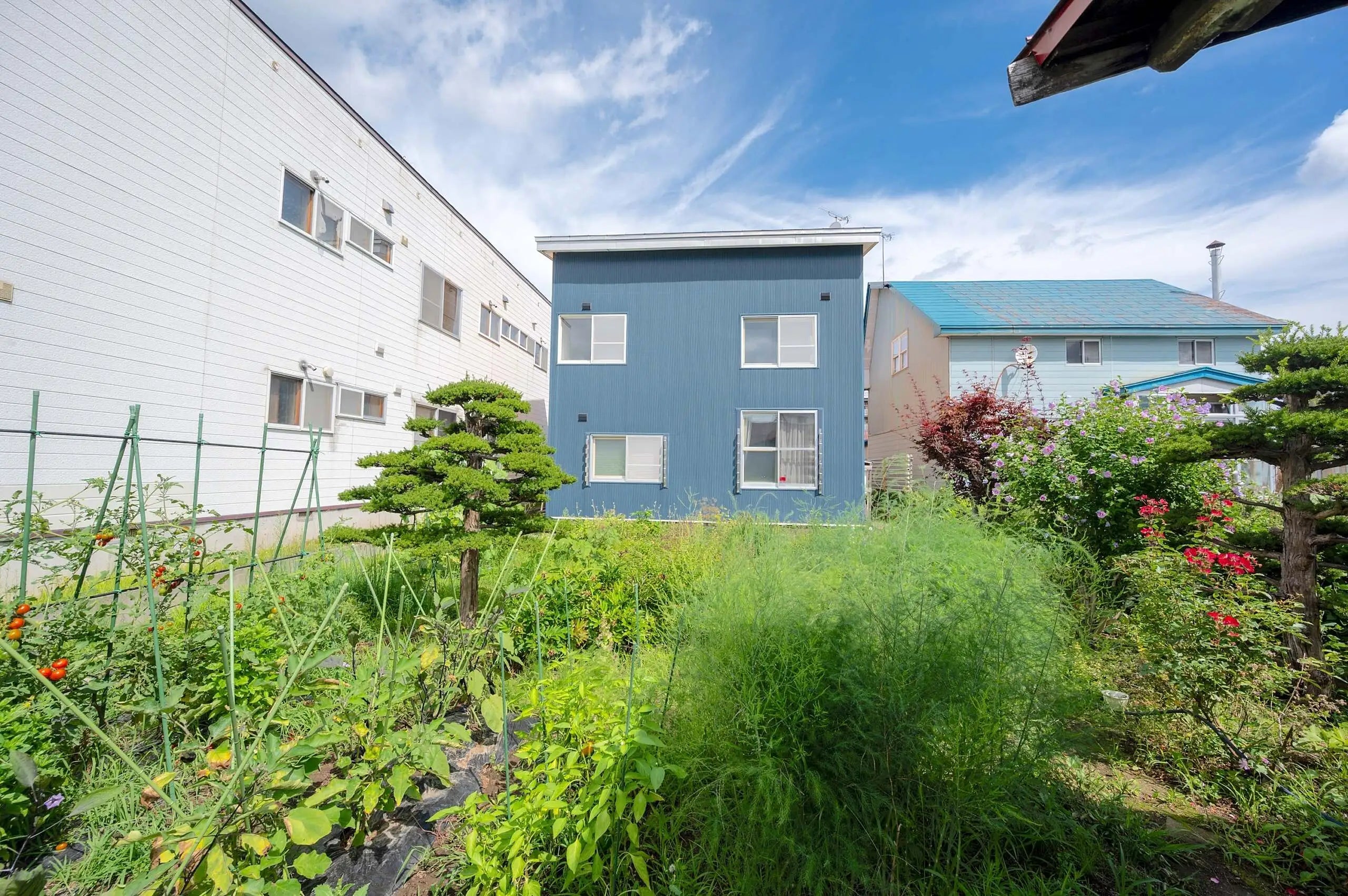 Kutchan Central House