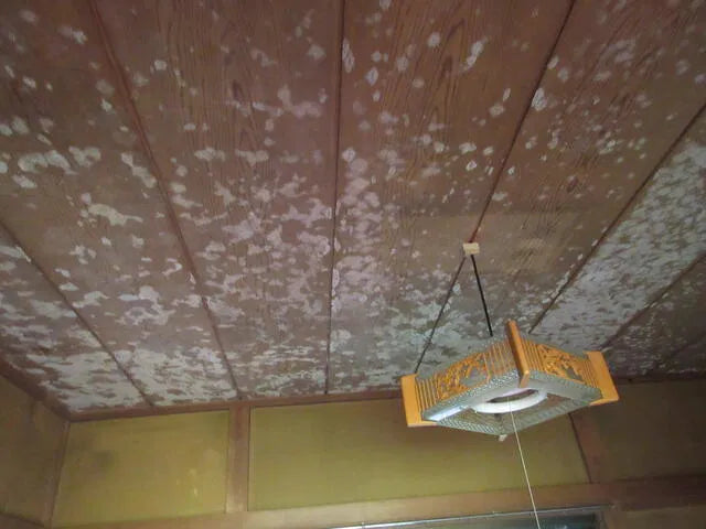 Minamigawa, Hanno City, Saitama Prefecture