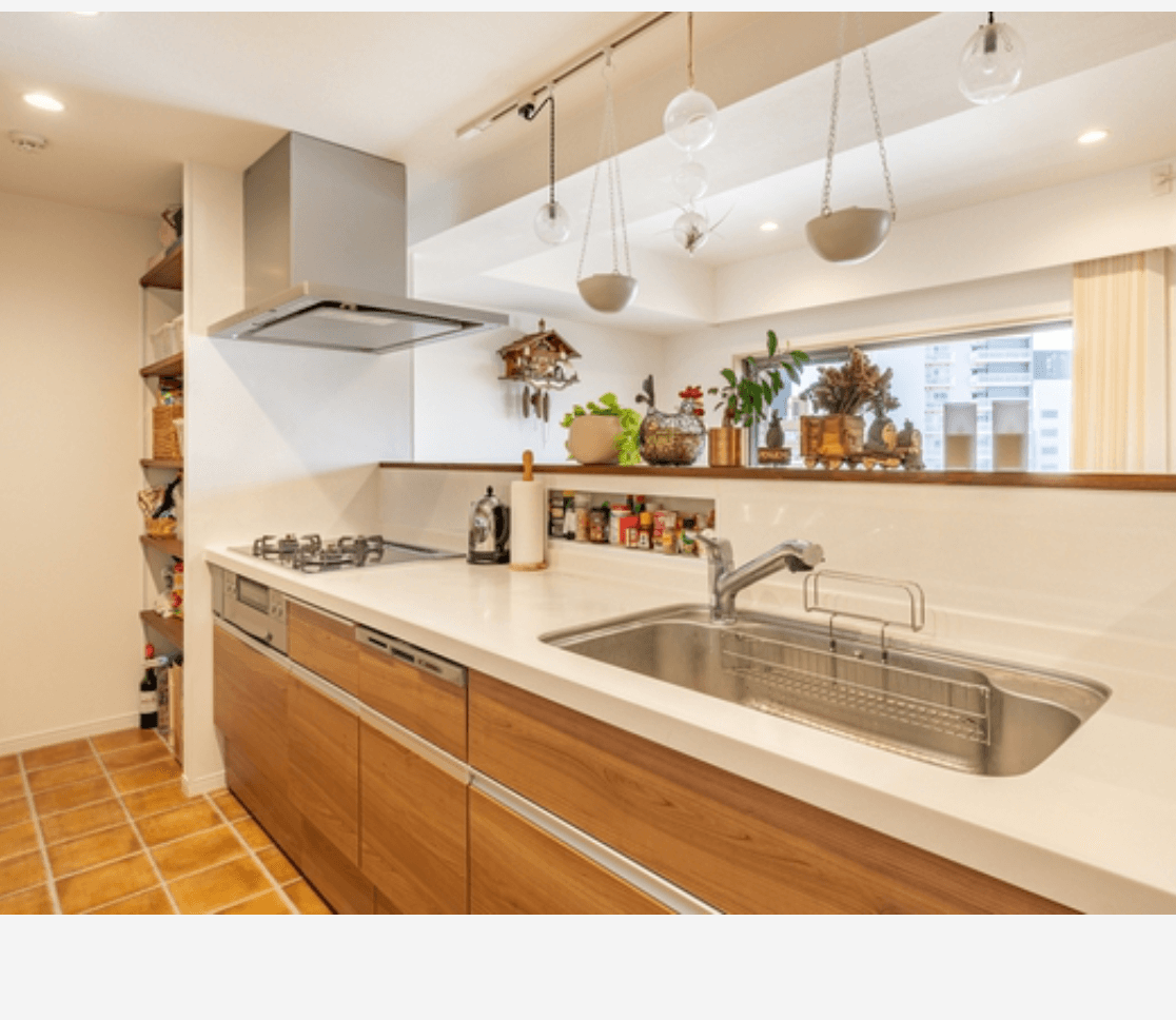 ADENIUM Musashikoyama - PDJ Indonesia