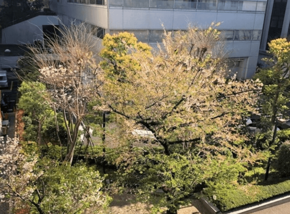 Casa Fujima, Kudankita, Chiyoda-ku - PDJ Indonesia