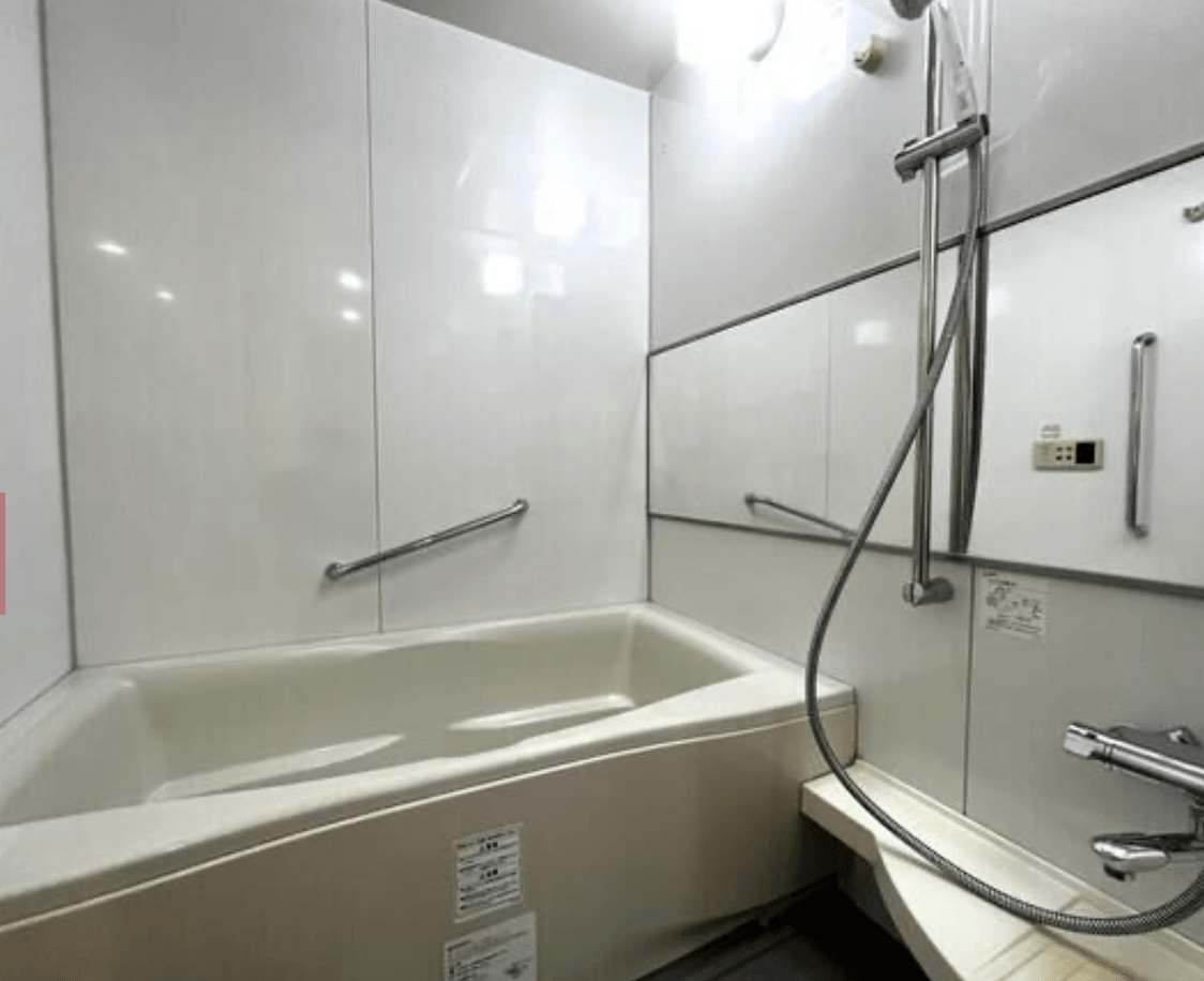 Cosmo Honjoazumabashi - PDJ Indonesia