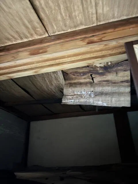 2-chome Amami Higashi, Matsubara City, Osaka Prefecture