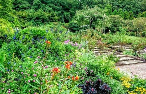 Kenya-cho, Nishinomiya City, Hyogo Prefecture