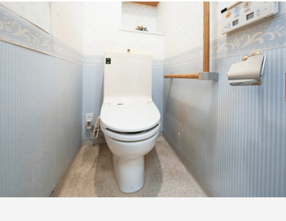 Sebon Hakusan - PDJ Indonesia