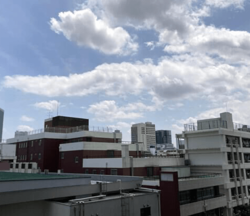 THE COURT Jingu Gaien - PDJ Indonesia