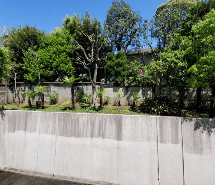 The HEIGHTS MOTOYOYOGI 50th - PDJ Indonesia