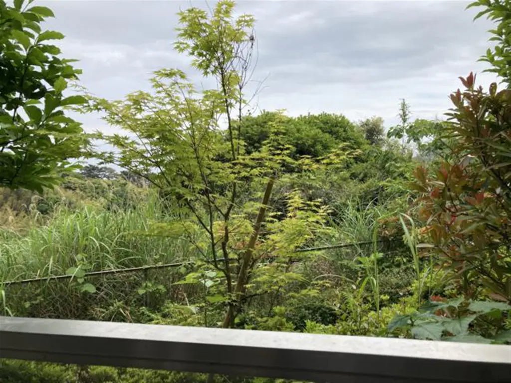 1Bed Apartment in Atami-shi, Shizuoka - PDJ Indonesia