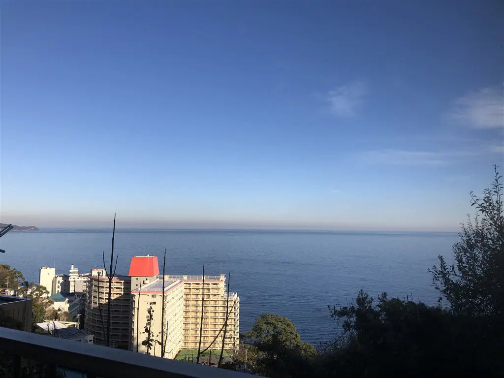 1Bed Apartment in Atami-shi, Shizuoka - PDJ Indonesia