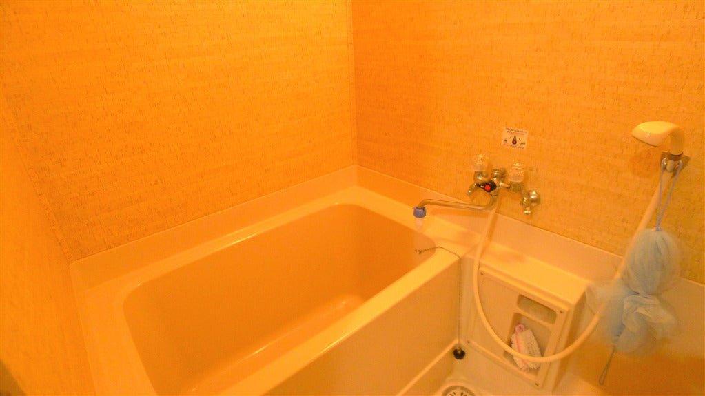 1Bed Apartment in Chino-shi, Nagano - PDJ Indonesia