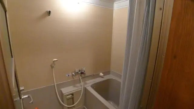 1Bed Apartment in Chino-shi, Nagano - PDJ Indonesia