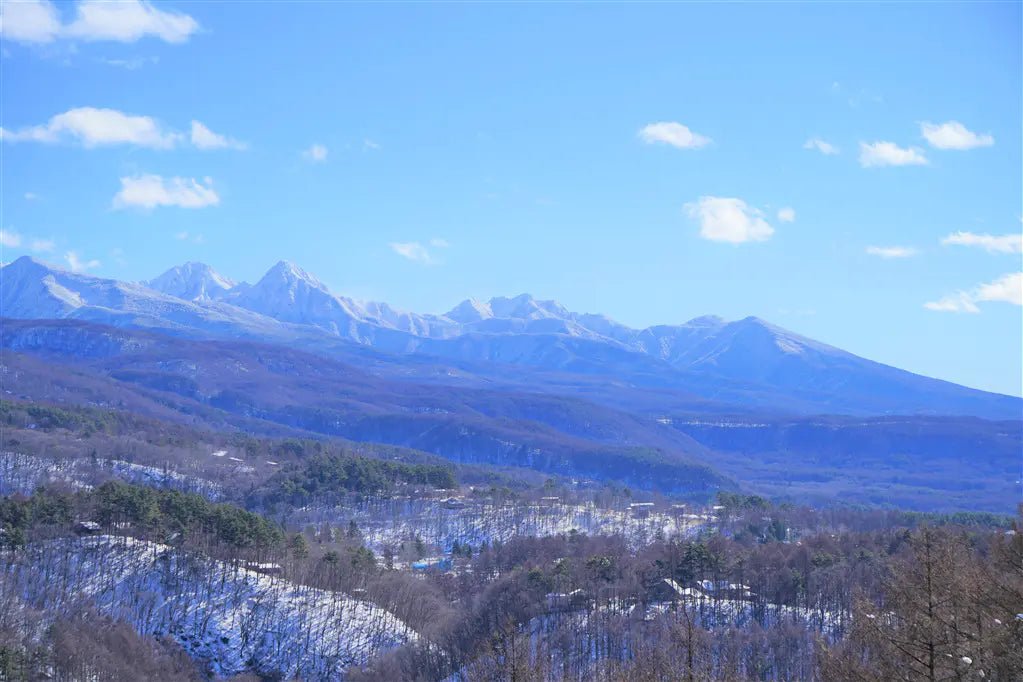 1Bed Apartment in Chino-shi, Nagano - PDJ Indonesia